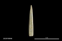 藏品(石箭鏃)的圖片